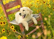 开云体育在线-蒂亚戈发挥堪称完美，乌拉圭强势晋级折射中国足球之痛