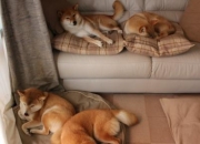 开云体育中国-血肉对钢钉，当莱比锡红牛的无解巴雷拉，撞碎尤文图斯的优雅防线