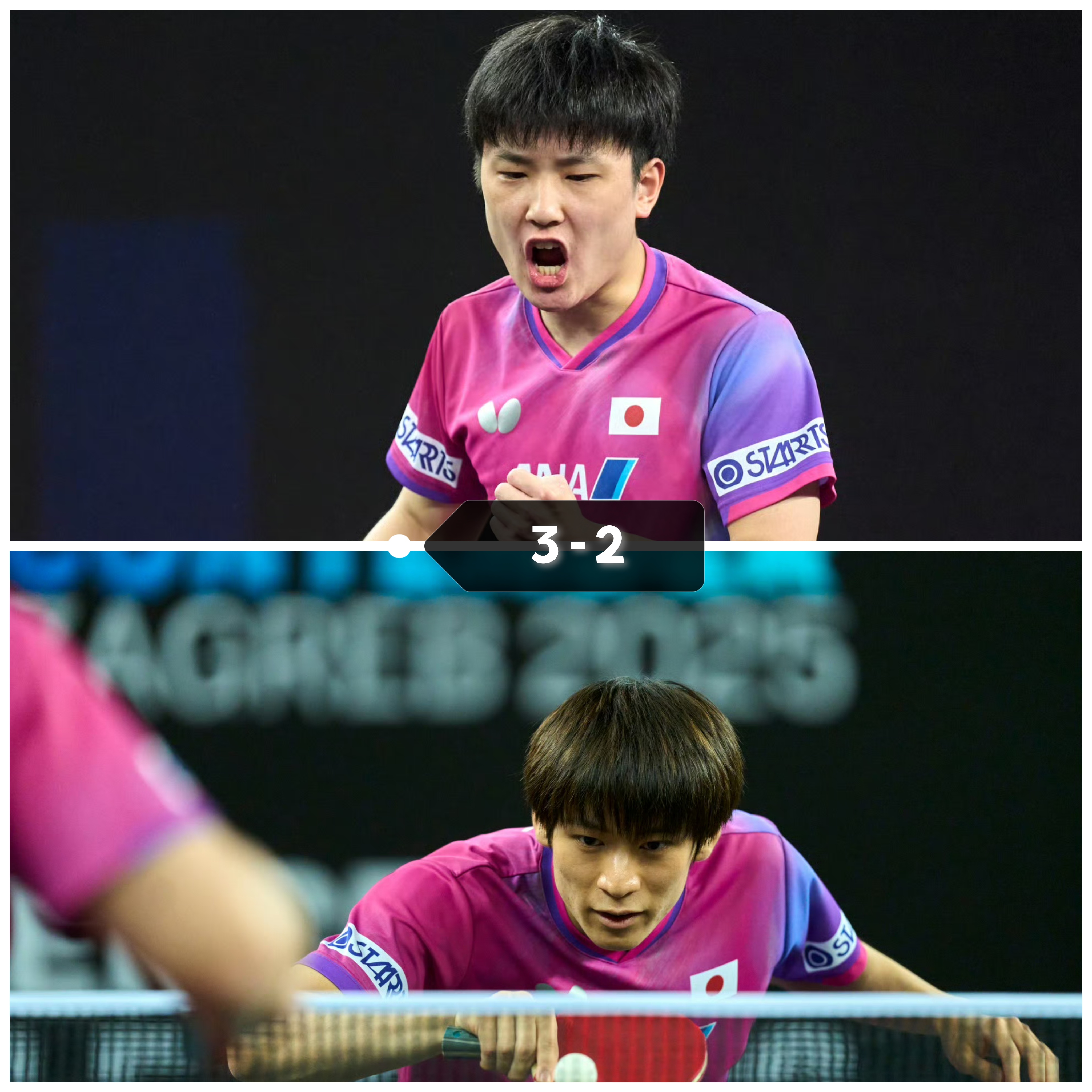 关于日本队横扫葡萄牙队,张本智和统治全场的信息 关于日本队横扫葡萄牙队,张本智和统治全场的信息