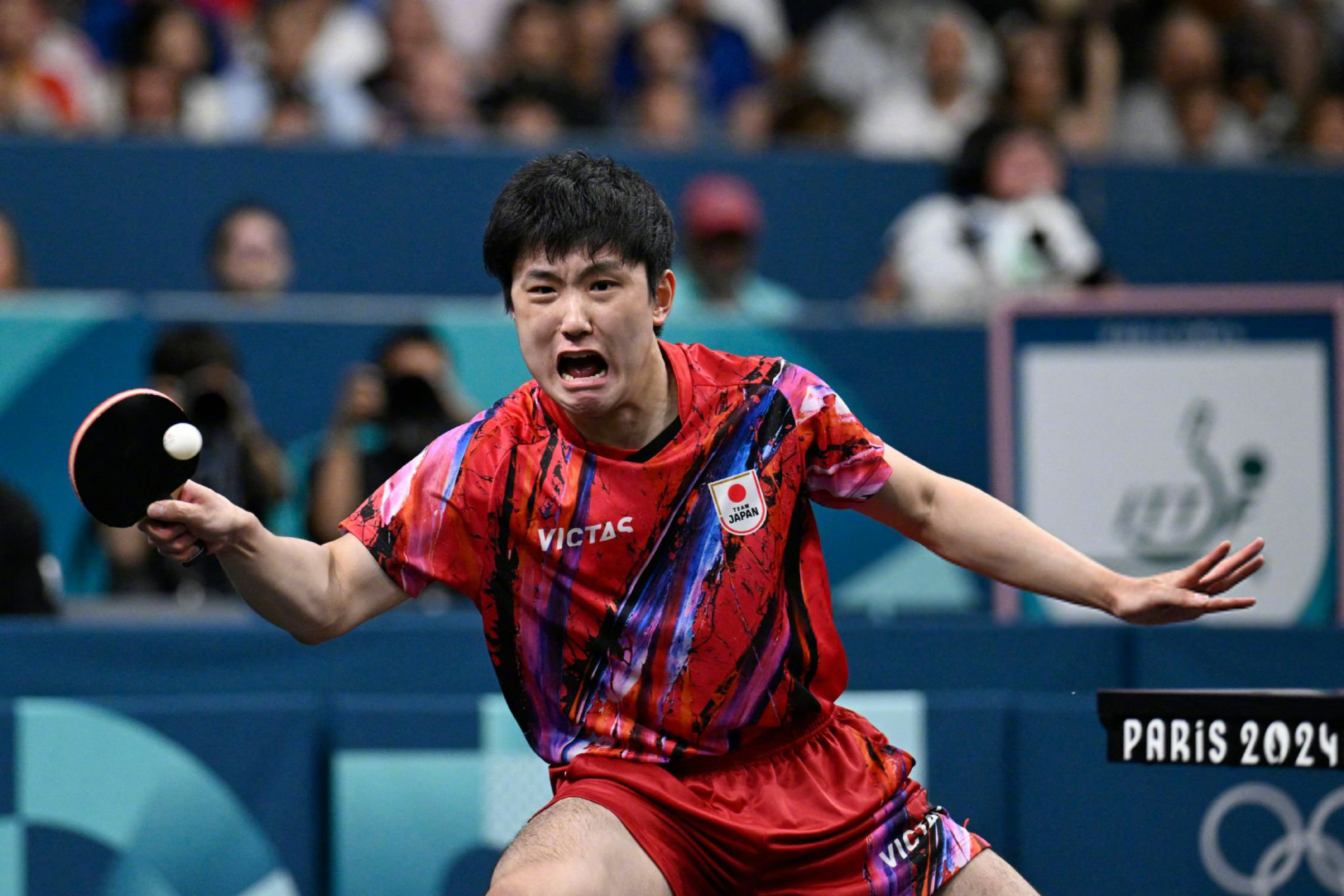 关于日本队横扫葡萄牙队,张本智和统治全场的信息 关于日本队横扫葡萄牙队,张本智和统治全场的信息