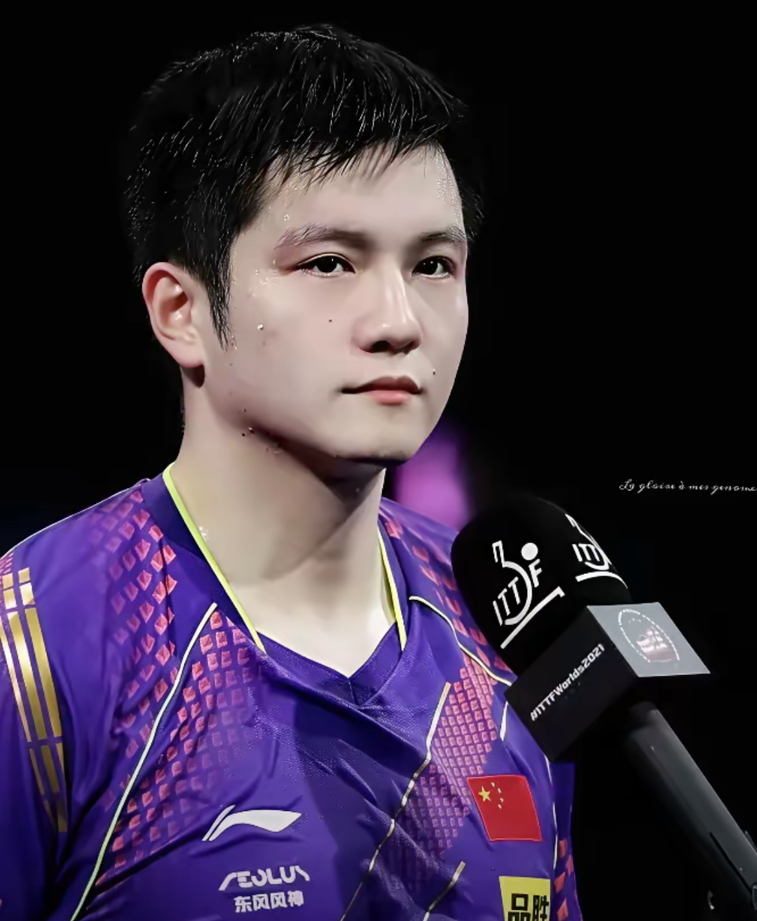 葡萄牙队翻盘奥地利队，樊振东状态火热的简单介绍