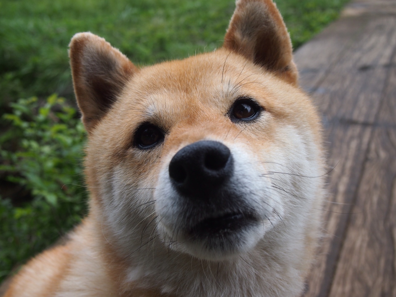 历史进程中的决断时刻,从德甲争冠到中东棋局