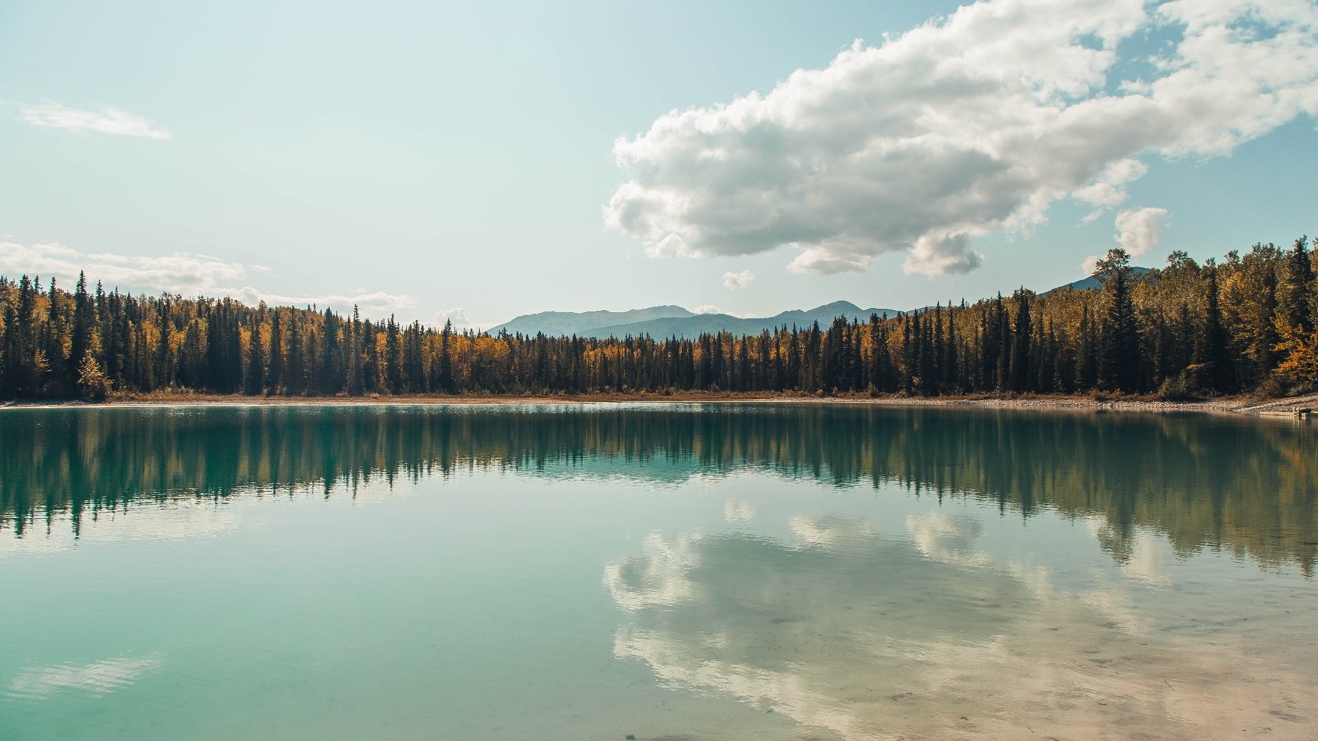 防守大师的红胎战术，从F1进站策略到卡塔尔锁死利物浦的终极演绎