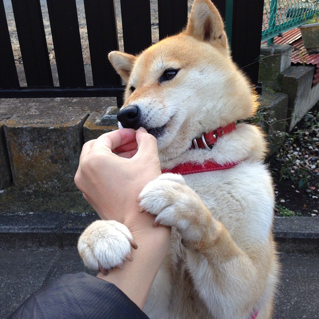 门迪三记重炮唯一救赎，贝蒂斯非典型击溃牙买加