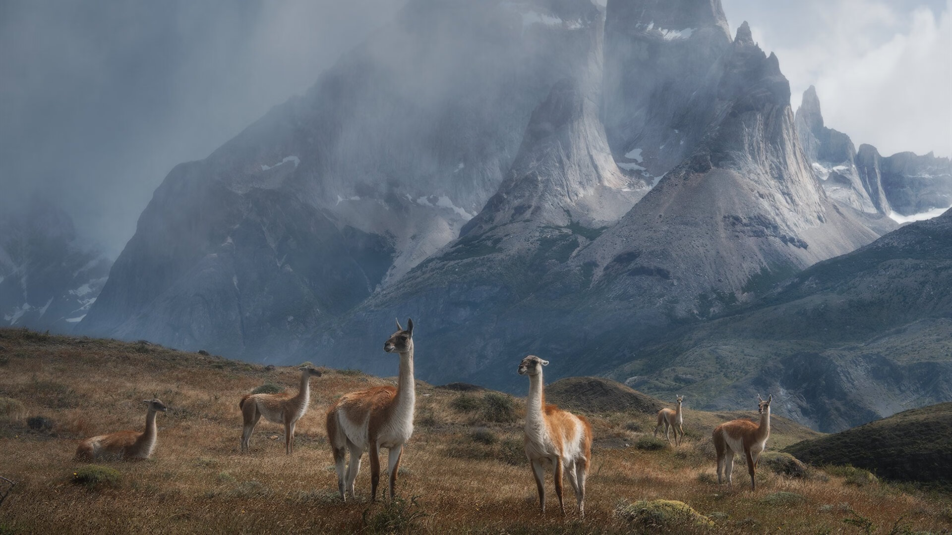 北境铁骑踏破孟菲斯,双面米切尔照亮中美篮球夜