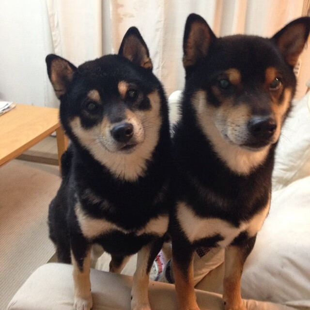 逆风翻盘！阿什拉夫一传一射导演巴黎神奇逆转