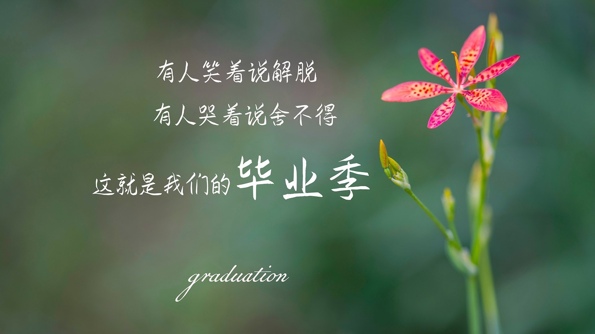 绝杀与主宰,法国终场逆转智利,法比尼奥西甲德比书写传奇