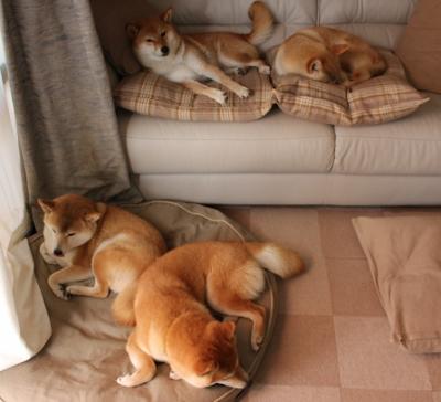 血肉对钢钉，当莱比锡红牛的无解巴雷拉，撞碎尤文图斯的优雅防线